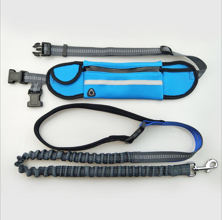 Hands Free Dog Running Leash with Waist Bag – Adjustable Bungee Leash