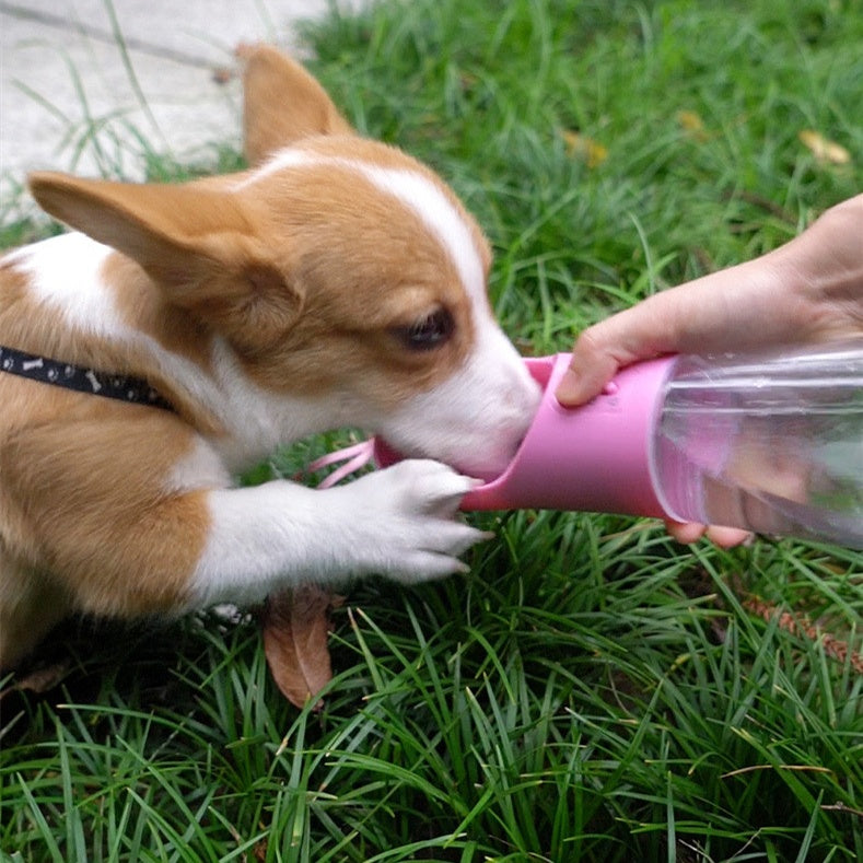 Portable Dog Water Bottle – Leak-Proof Travel Dispenser