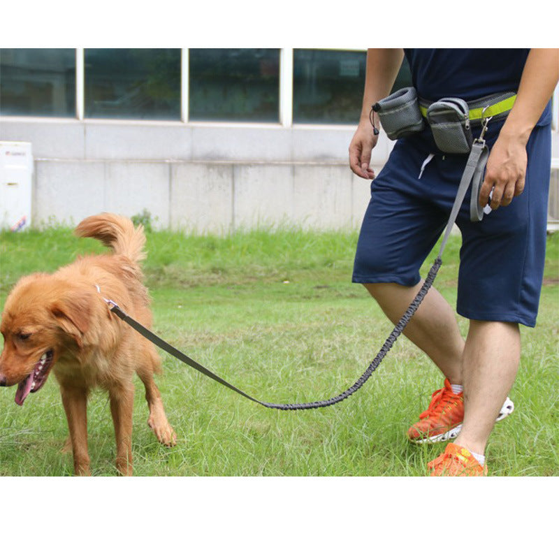 Hands Free Dog Running Leash Set – Adjustable Waist Belt Leash