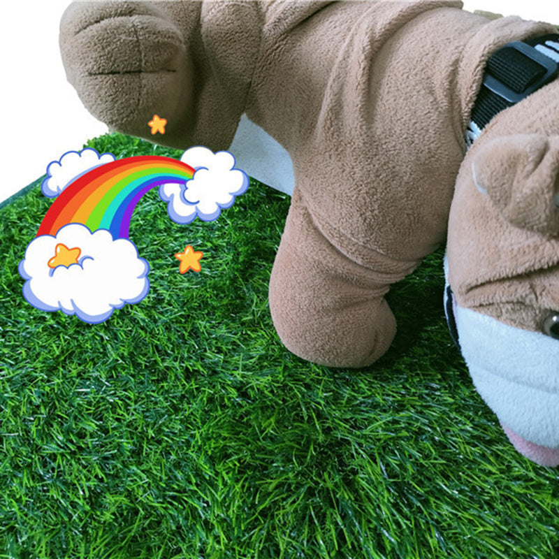 Dog Potty Tray – Indoor Training Toilet for Small Dogs & Puppies