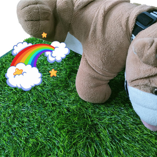 Dog Potty Tray – Indoor Training Toilet for Small Dogs & Puppies