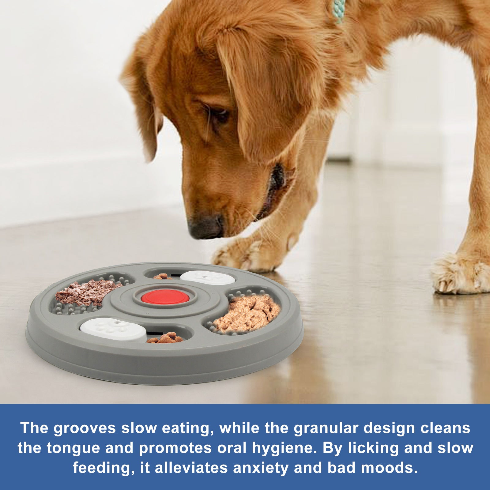 2-in-1 Dog Slow Feeder Bowl & Lick Mat – Anti-Choking Puzzle Feeder