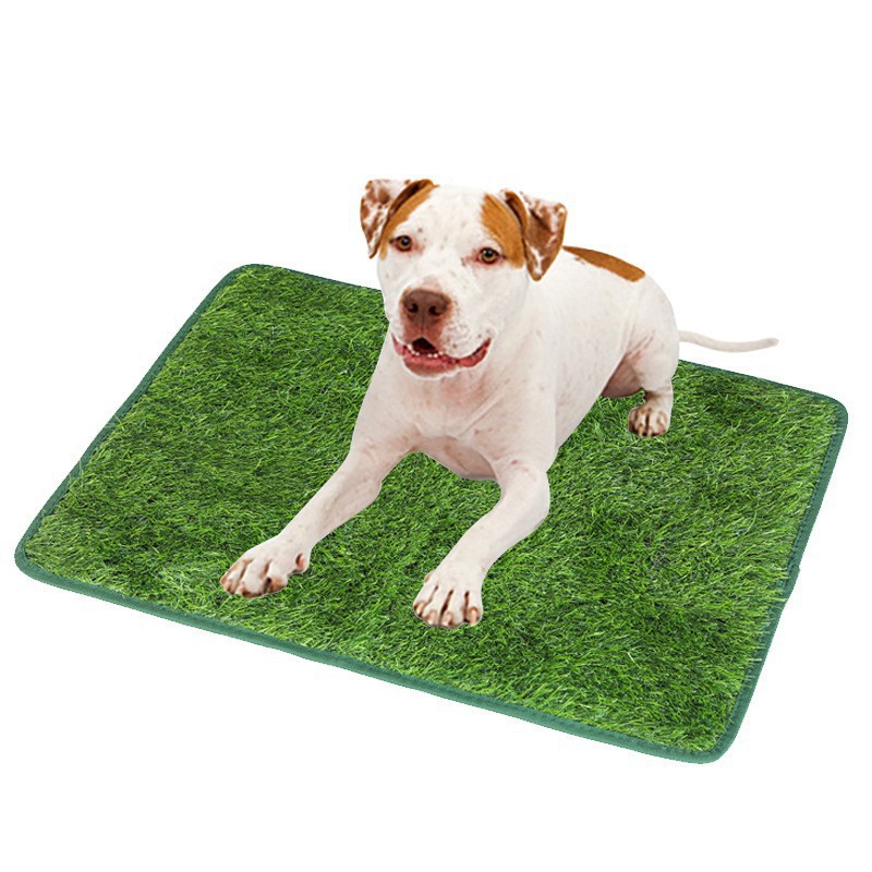 Dog Potty Tray – Indoor Training Toilet for Small Dogs & Puppies