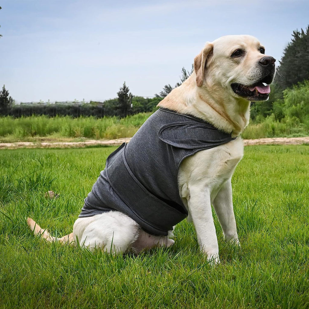Dog Anxiety Jacket – Breathable Thunder Vest for Stress Relief