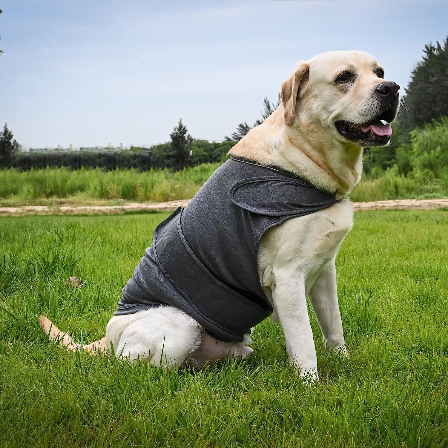 Dog Anxiety Jacket – Breathable Thunder Vest for Stress Relief