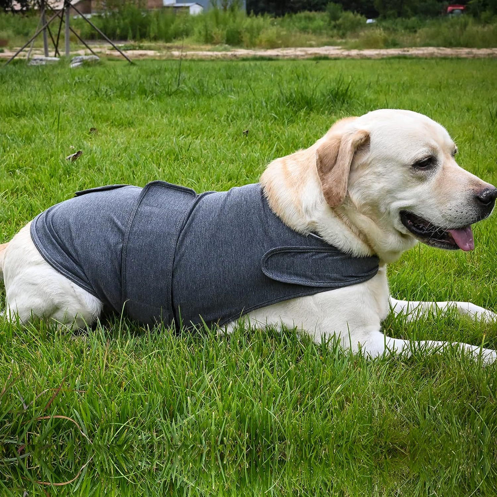 Dog Anxiety Jacket – Breathable Thunder Vest for Stress Relief